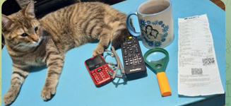 Скриншот 16.12.25_15.06.50.png