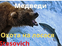 Скриншот 18.11.25_08.20.48.png