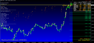 WayGrow EA 2025 Profesional ( Photo 1 )..png