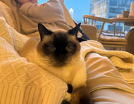 Скриншот 16.01.26_00.06.03.png