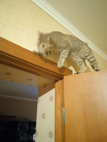 1769697011676.png 1769697011676.png