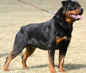 Скриншот 2020-01-06 20_52_02.png Скриншот 2020-01-06 20_52_02.png