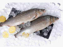 Скриншот 07.02.26_20.50.01.png