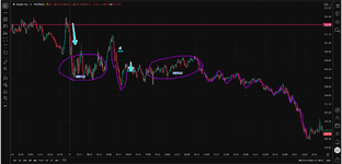 Screenshot_2026_02_14-3 (1).png