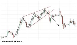 Скриншот 26.02.26_12.55.57.png