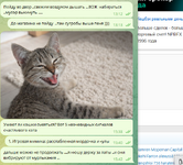 Скриншот 03.03.26_16.20.05.png