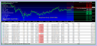WayGrow © 2025 XAU ( Photo 4 )..png