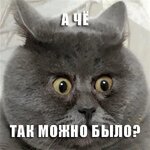 86ar92FenQp8zozx-W0SgCf-yOF44NWBQ9JdFTWWPVnIGdPhv2E0i3FkOInJMEDGUFRJ645qc95-cpbcTAG06qC7.jpg