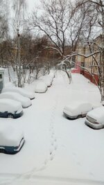 снег.jpg