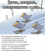 Грачи возвращаются.png