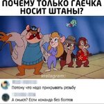 Почему гаечка носит штаны.jpg