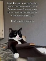 d7l485msmbqsgtire2n0.jpg