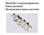950e6f6833bf9a8fae9b3c9eb7b4f1d25ba2a939.jpg