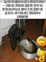HG_ZcpUaUAARSgRbf610ffa29085810.png