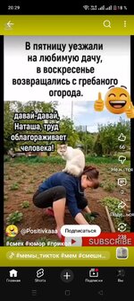 огород грёбаный...).jpg
