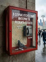 d7uqph6smbqg47ia0gk0.png