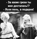 fefcd2277dd189a6efc1cda6735acf5a.jpg