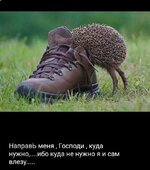 44cb2a1a504f512703f7e7f903f90fc9.jpg