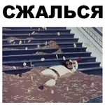 норм....webp