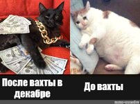 до и после....jpg