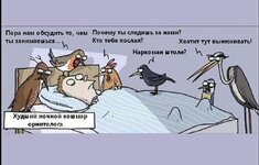 Локи не к чему хорошему не приводят.jpg