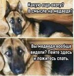 319d8968dea87f48e48ec556e5bda853221dc7bd.jpg