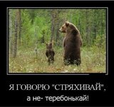 589404591abc653dd26fdf4a0b54af33.jpg