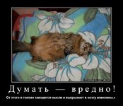 факТ...).jpeg