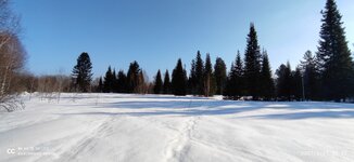 IMG_20210327_093730.jpg