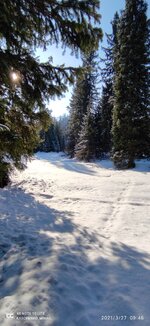 IMG_20210327_094600.jpg