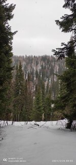 IMG_20210328_095502.jpg