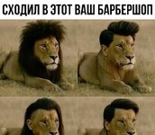 стрижка норм...).jpeg