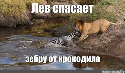помощнички...).jpg