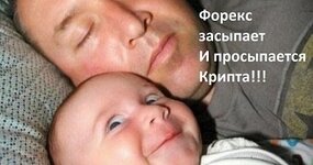 image_4150237.jpg