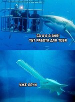 07ba6a0f38dd849d22e4e7c2fe11f50eb3c07294.jpg