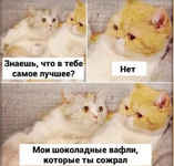 Screenshot_2.png