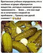 36d045e4cc40a3bb8b54890625debc373fa9bc29.jpg