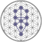 Tree-of-Life_Flower-of-Life_Stage.svg.png