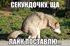 WML3U0GLwrojQTpGg-Z91w.jpeg