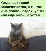 IMG_20260816_174956.jpg