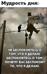 a86a7008224a505cced47920ec0ec47a.jpg