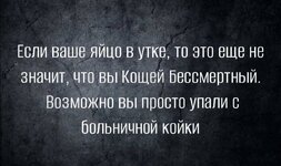94cf392ad5e68e840493ffe009661beef0dbf8e7.jpg