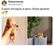 c24a2cd77c88cb5531b27d3c0992489de1e6d2d4.jpg