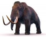 mammoth1.jpg